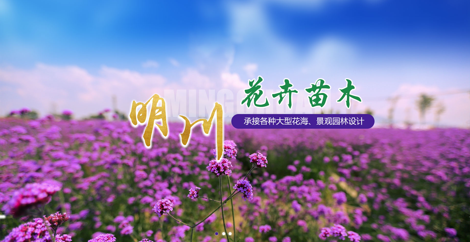 青州盛龍花卉苗木有限公司