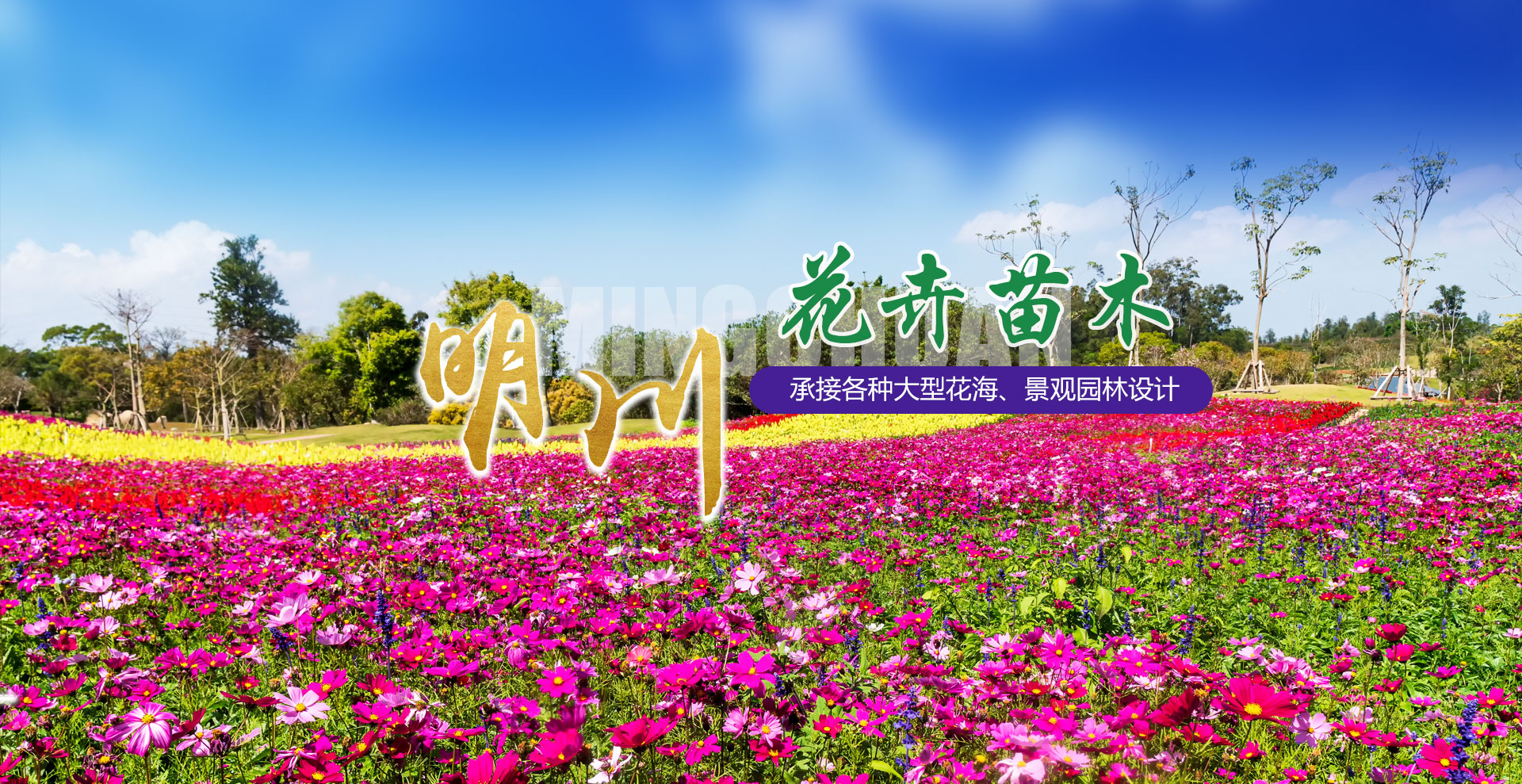 青州盛龍花卉苗木有限公司